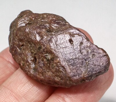 115Ct Natural Unheated Red Star Ruby Specimen Facet Rough YRX2691