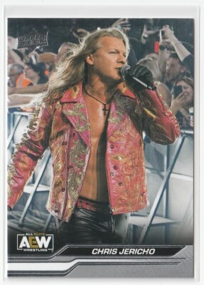 2024 Upper Deck AEW #5 Chris Jericho