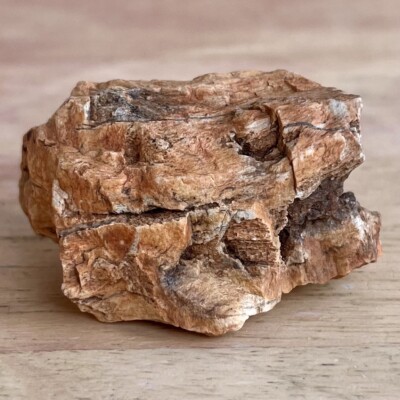 2 OZ S UTAH Raw Rough PETRIFIED FOSSIL WOOD Log 2  CRYSTALS WORMHOLES WAVES RUST
