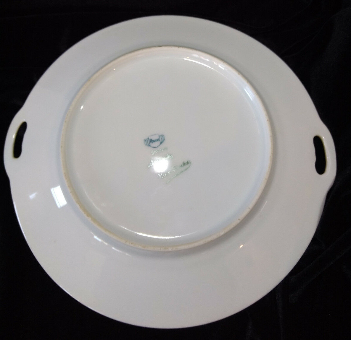 Antique THOMAS Sevres Bavaria Plate Hand Painted 