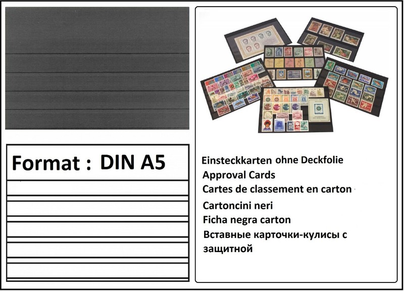 100 A5 Einsteckkarten Steckkarten Klemmkarten 5 Streifen Look