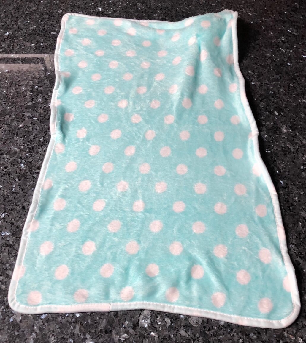 Mint Colored Fleece Puppy Comfort Security Blanket with Dog Toy