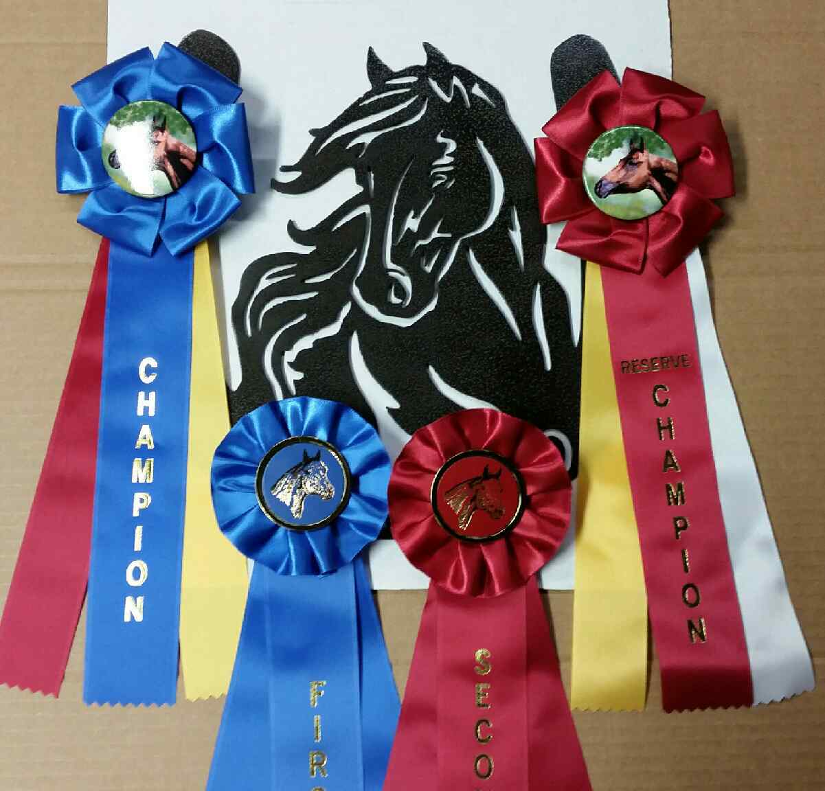 Metal Horse Show Ribbon Holder