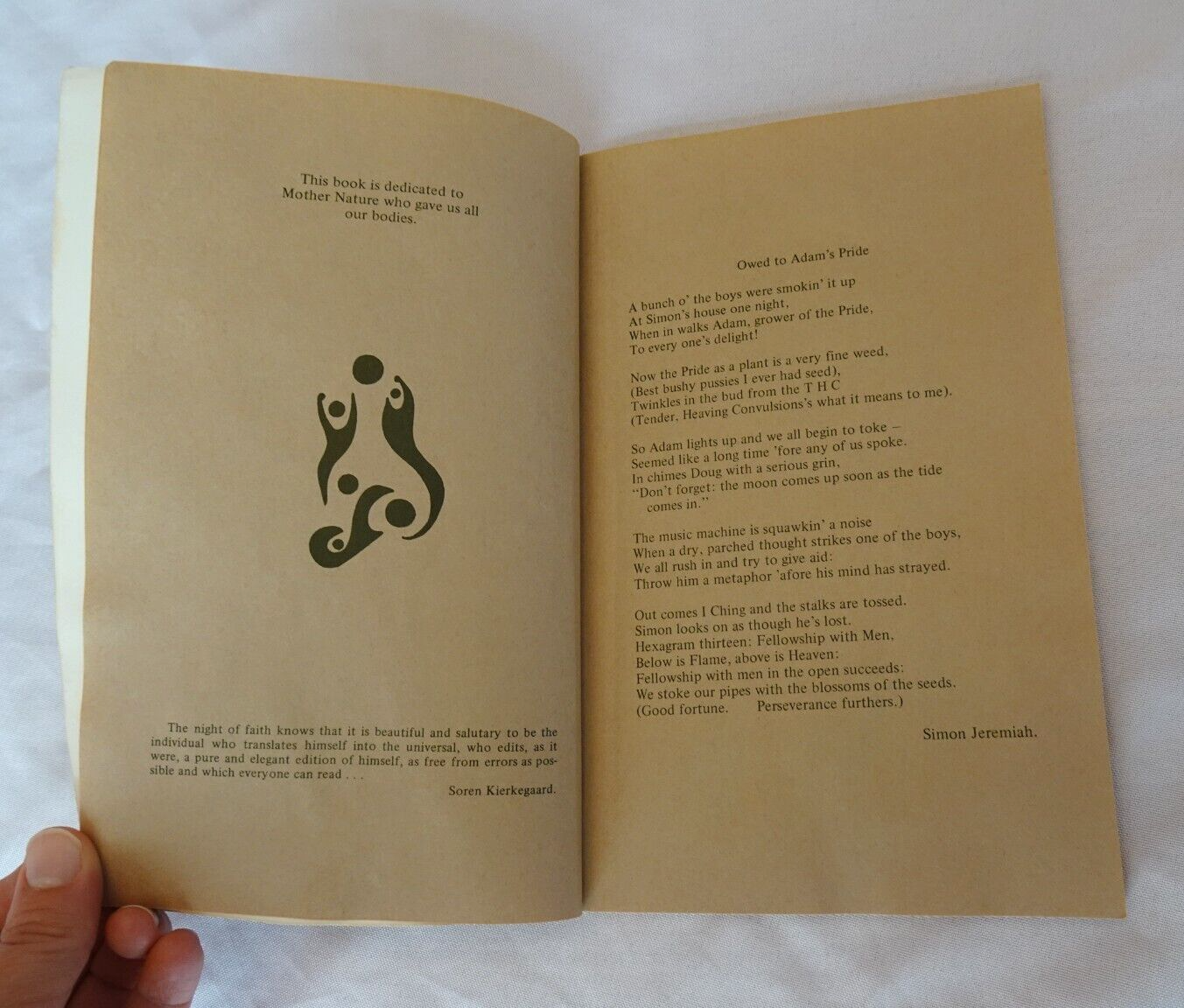 Caretaking the Wild Sinsemilla A Seed Growing Marijuana Cannabis Outdoors RARE