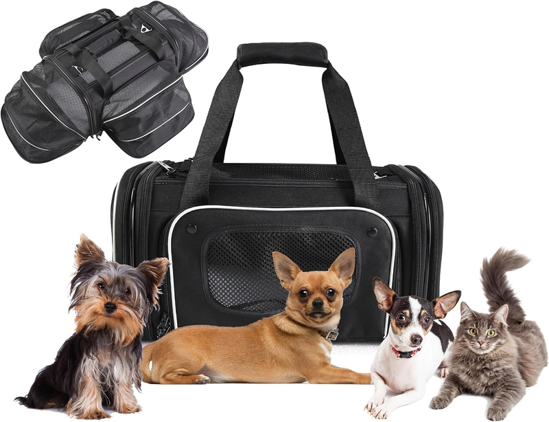For Small Pets Under 10 Lbs Tsa Approved Pet Carr