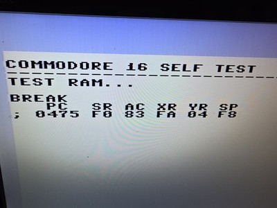 Foto dell'oggetto di un acquirente verificato