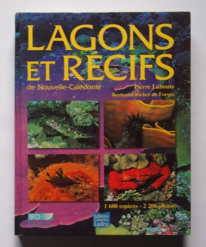 Lagons Et RÃ©Cifs De Nouvelle-CalÃ©Donie