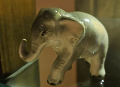 Photos de l'objet d'un acheteur vérifié