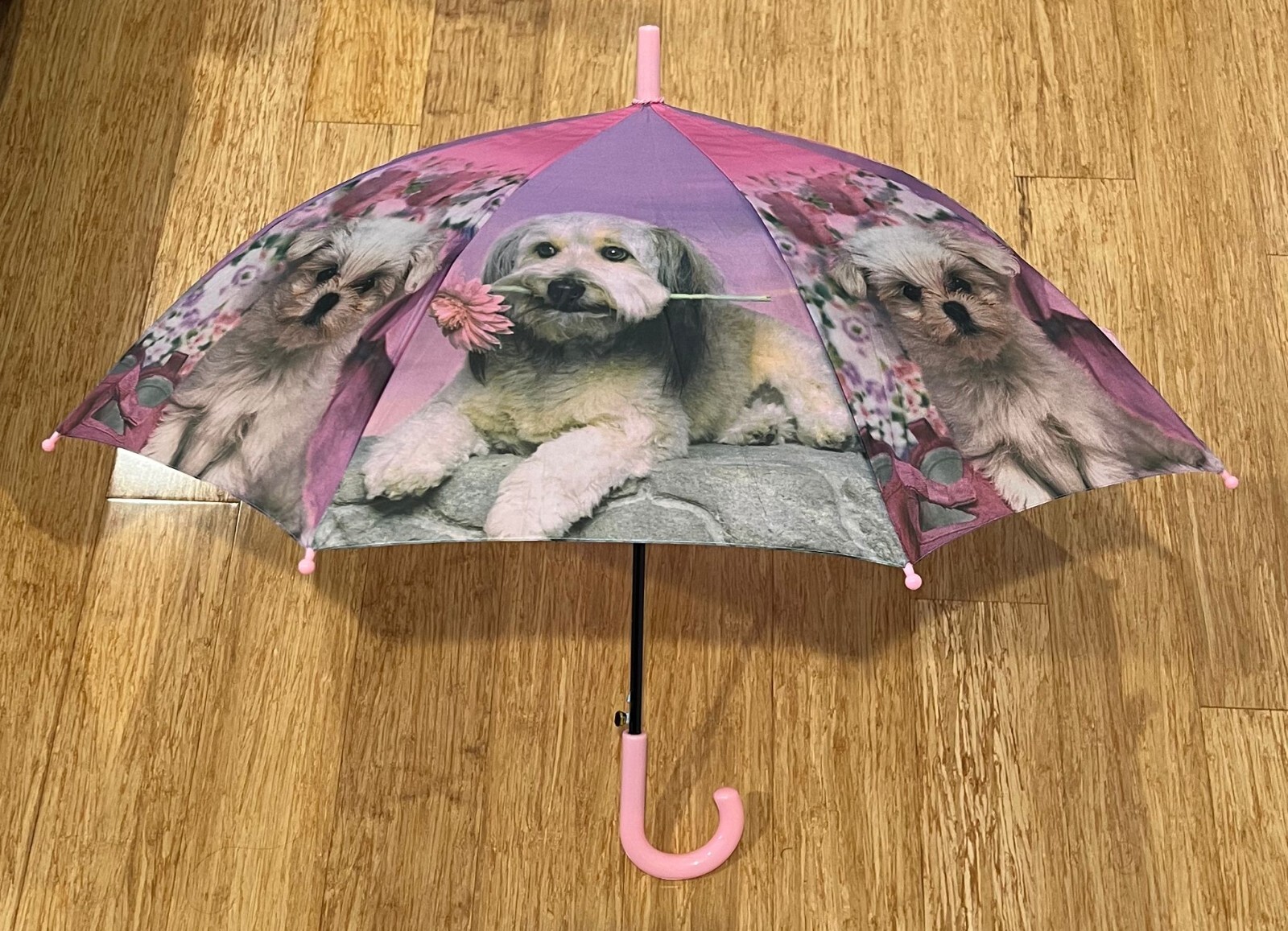 Cavalier/Shih Tzu Umbrella Cavalier/Shih Tzu Umbrella