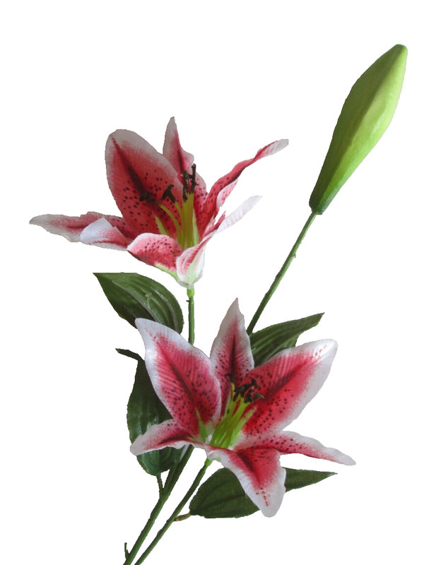 1 Lilie Mit Stiel 47cm 2 Rote BlÃ¼Ten 17cm Knospe Kunst Seidenpflanzen Dekor Deko