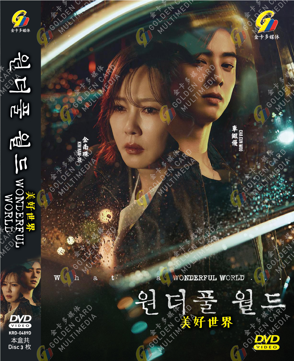 Wonderful World 美好世界 Korean TV Drama Series DVD English