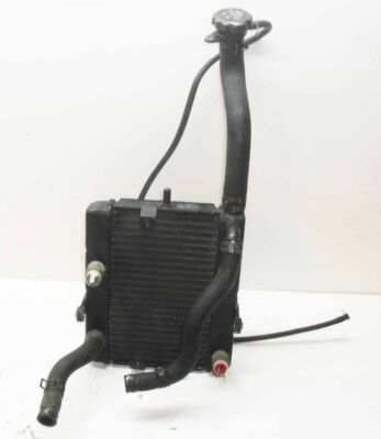 Radiatore per Yamaha Majesty YP 250 DX 1996>99 - Radiator