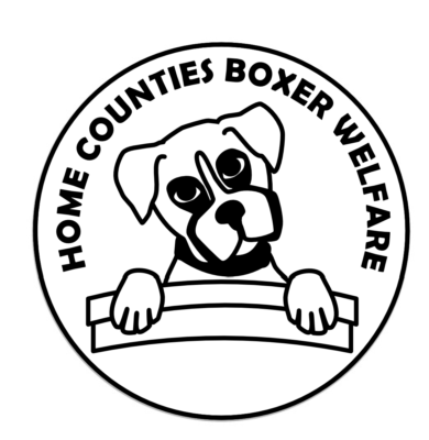 Home Counties Boxer Welfare