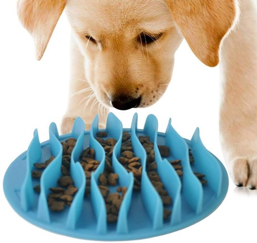 z wave pet feeder