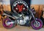 Honda CB600 cb 600 honda hornet motorcycle