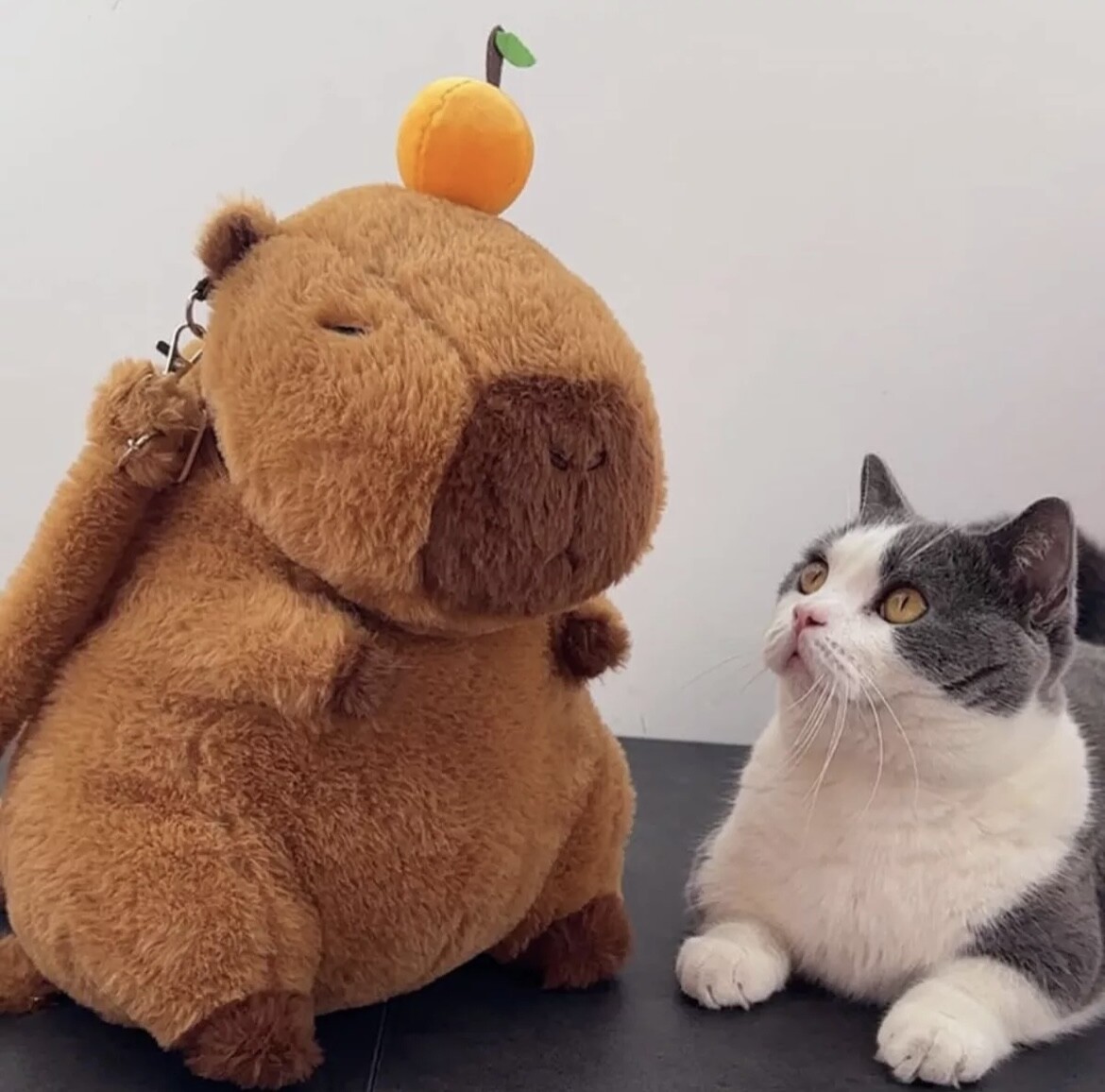 Capybara Plush Backpack Fashion Crossbody Shoulder Bag Stuffed Plushie Doll Gift