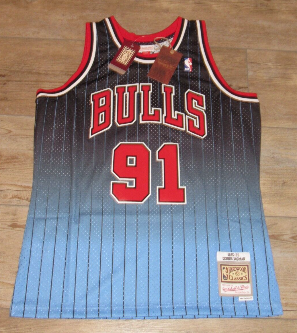 Mitchell & Ness Men's Chicago Bulls Dennis Rodman Pinstripe Swingman Jersey