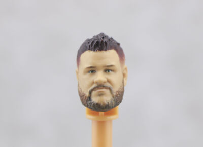 1/12 Scale Head sculpt for 6'' WWE Wrestling Mattel Elite Figure Toys