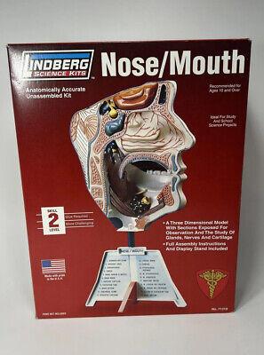 Lindberg Science Kits HUMAN NOSE / MOUTH Model Kit No. 71310 Open Box