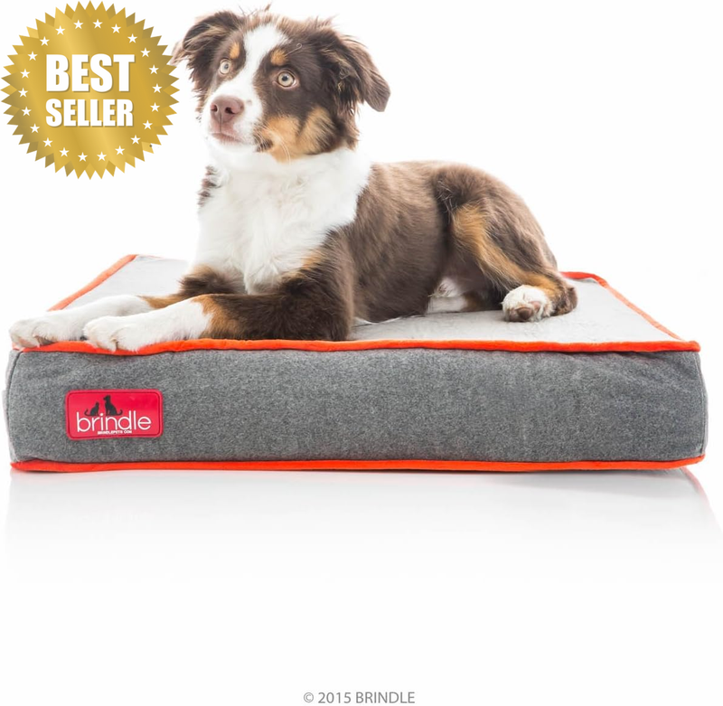 Waterproof Designer Memory Foam Pet Bed-Removable Machine Washable Cover-4 Inch 