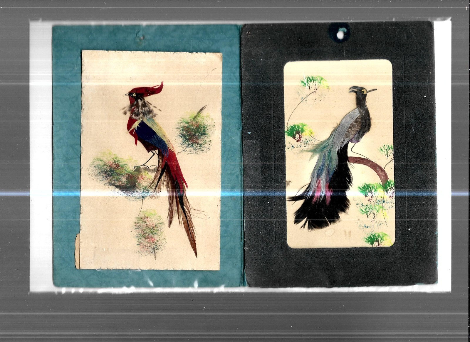 8月20日削除！ BIRDS OF A FEATHER 142 8月20日削除！ BIRDS OF A FEATHER 142 8月20日削除！ BIRDS