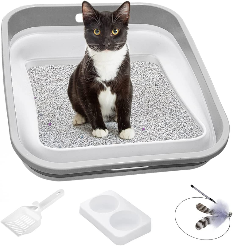 Set, Include Low Entry Senior Cat Litter Box, Low Profile