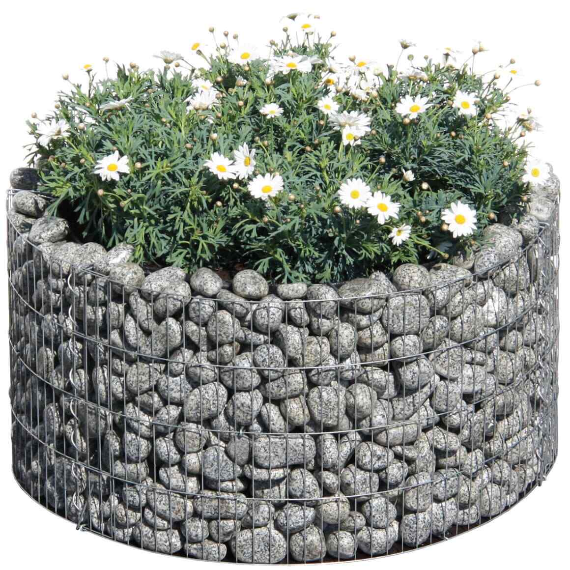 Bellissa Gabionen Hochbeet Basic rund inkl. Trennfolie Pflanzenkasten Steinkorb