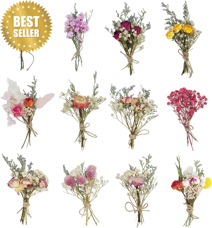 12/24 PCS Charming Dried Flowers Bouquet for Vase Various Dried Wildflowers with