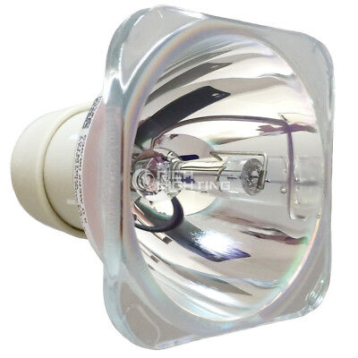 Replacement Projector Bulb for Optoma BL-FU195C / SP.72J02GC