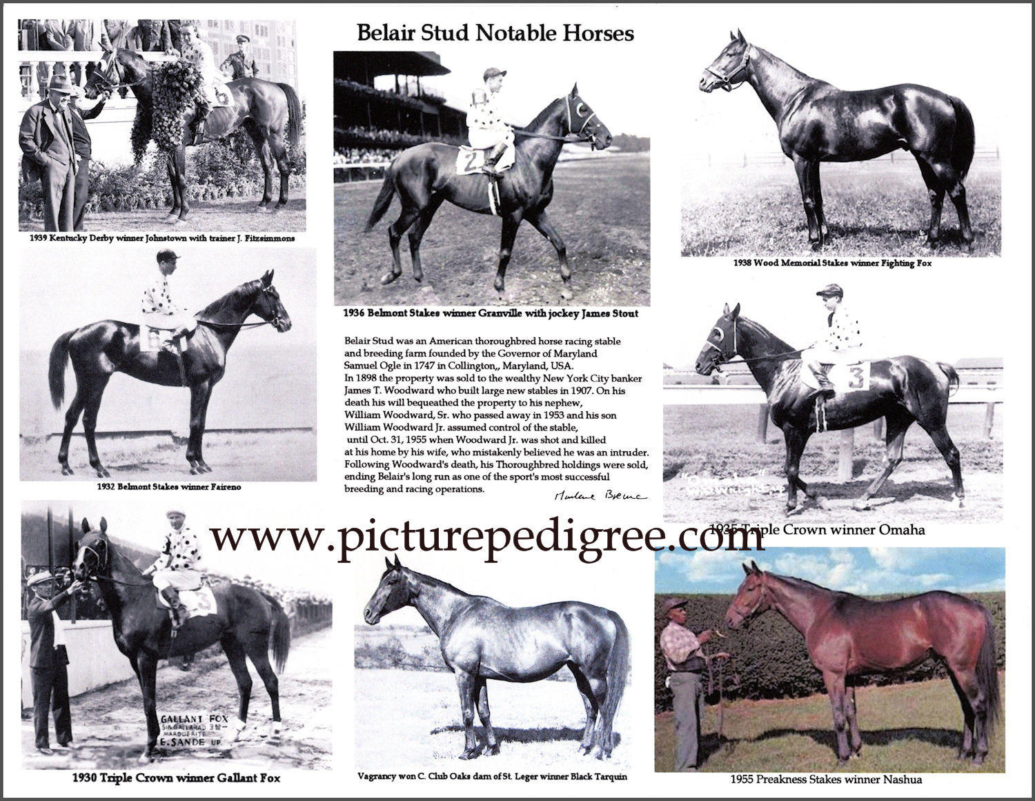 8.5 X 11 Triple Crown History Omaha, Gallant Fox