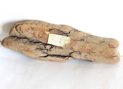 Hand Painted Antelope on Missouri River Driftwood Vintage Folk Art 11.5