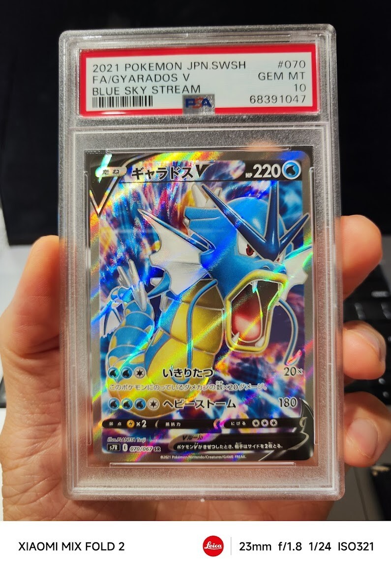 世界254枚 PSA10 ギャラドスV gyarados 2021 53 世界254枚 PSA10 ギャラドスV gyarados 2021 53 - メルカリ