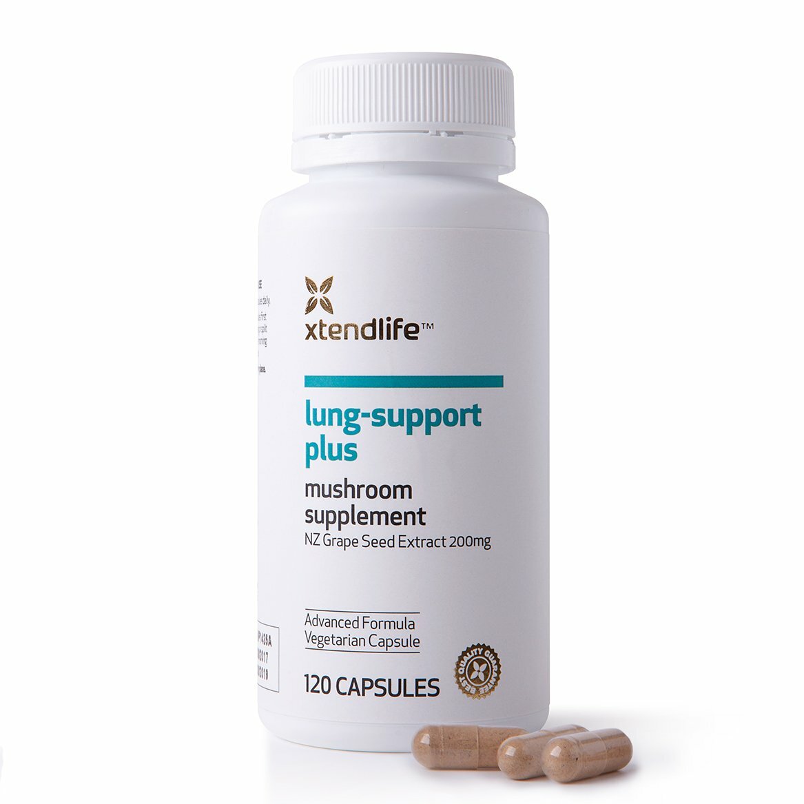 Кандида суппорт. Brain support. Liver support инструкция по применению. Лекарство brain plus. Витамины brain россия.