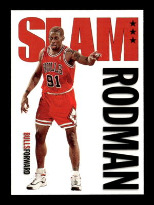 Dennis Rodman 1996-97 Hoops #326 Chicago Bulls | eBay