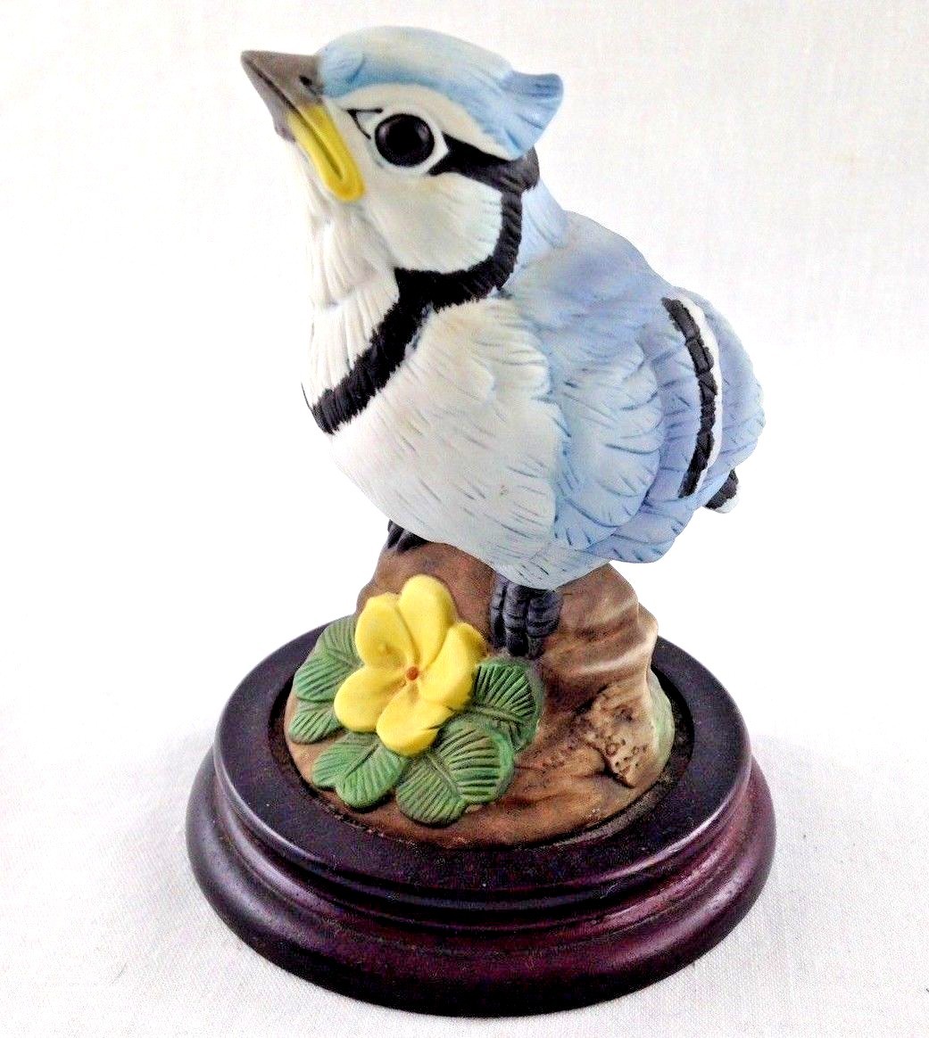 Andrea Baby Blue Jay