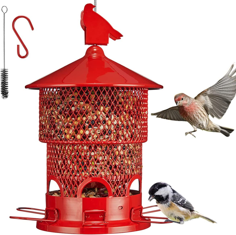 Squirrel Proof - Upgraded Squirrel Buster Outdoors Hanging