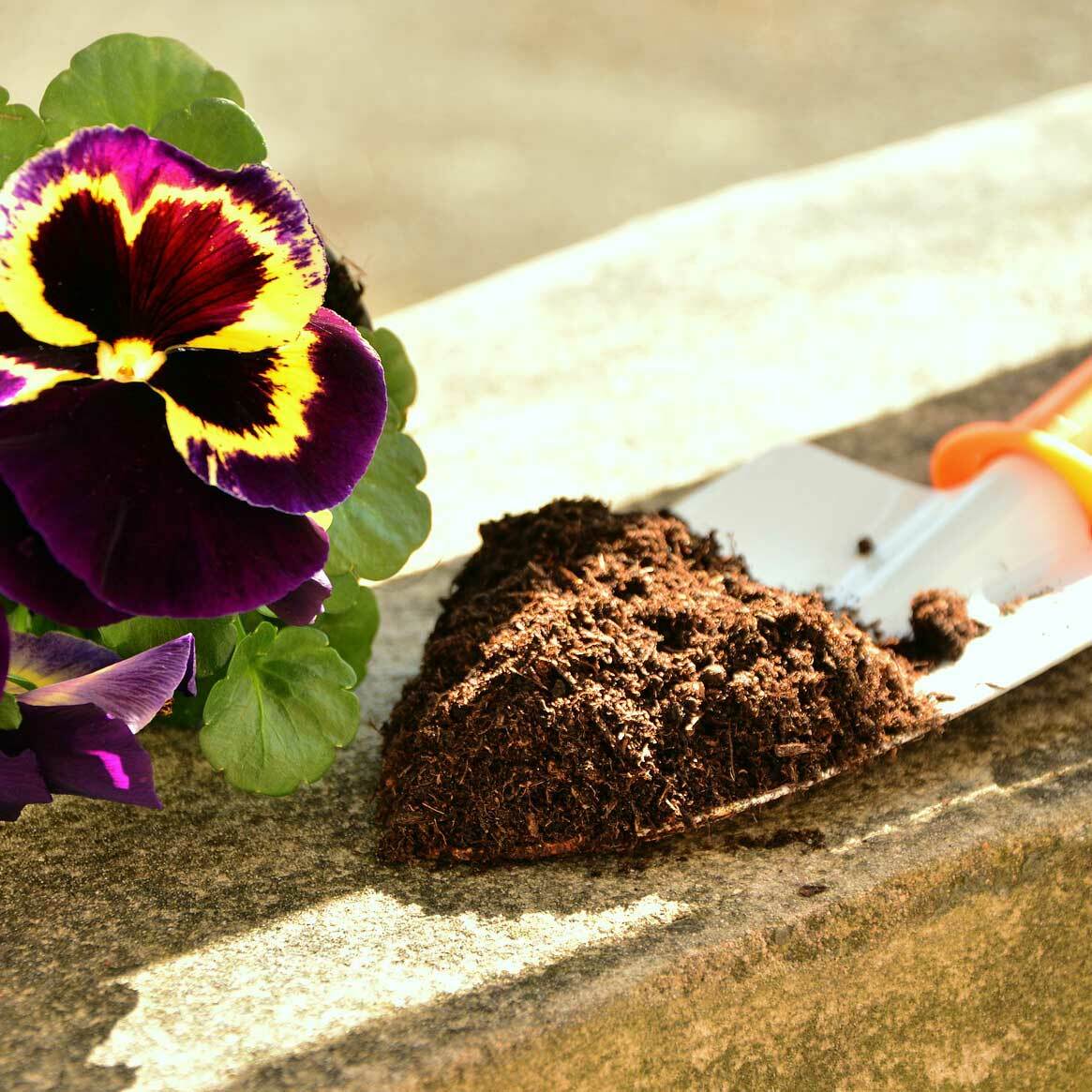 Blumenerde Erde Torf Humus Kompost Ton Guano Dünger 60l x 36 Sack 2160l Palette | eBay