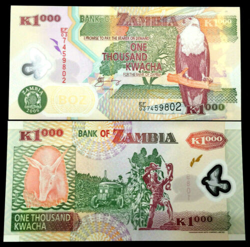 Zambia 1000 Kwacha 2006 Polymer Banknote World Paper Money UNC Currency Bill