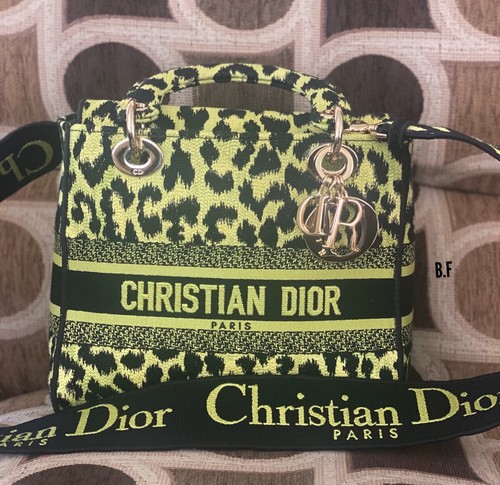 Christian Dior Lady D-Lite Bag Mizza Embroidered Canvas