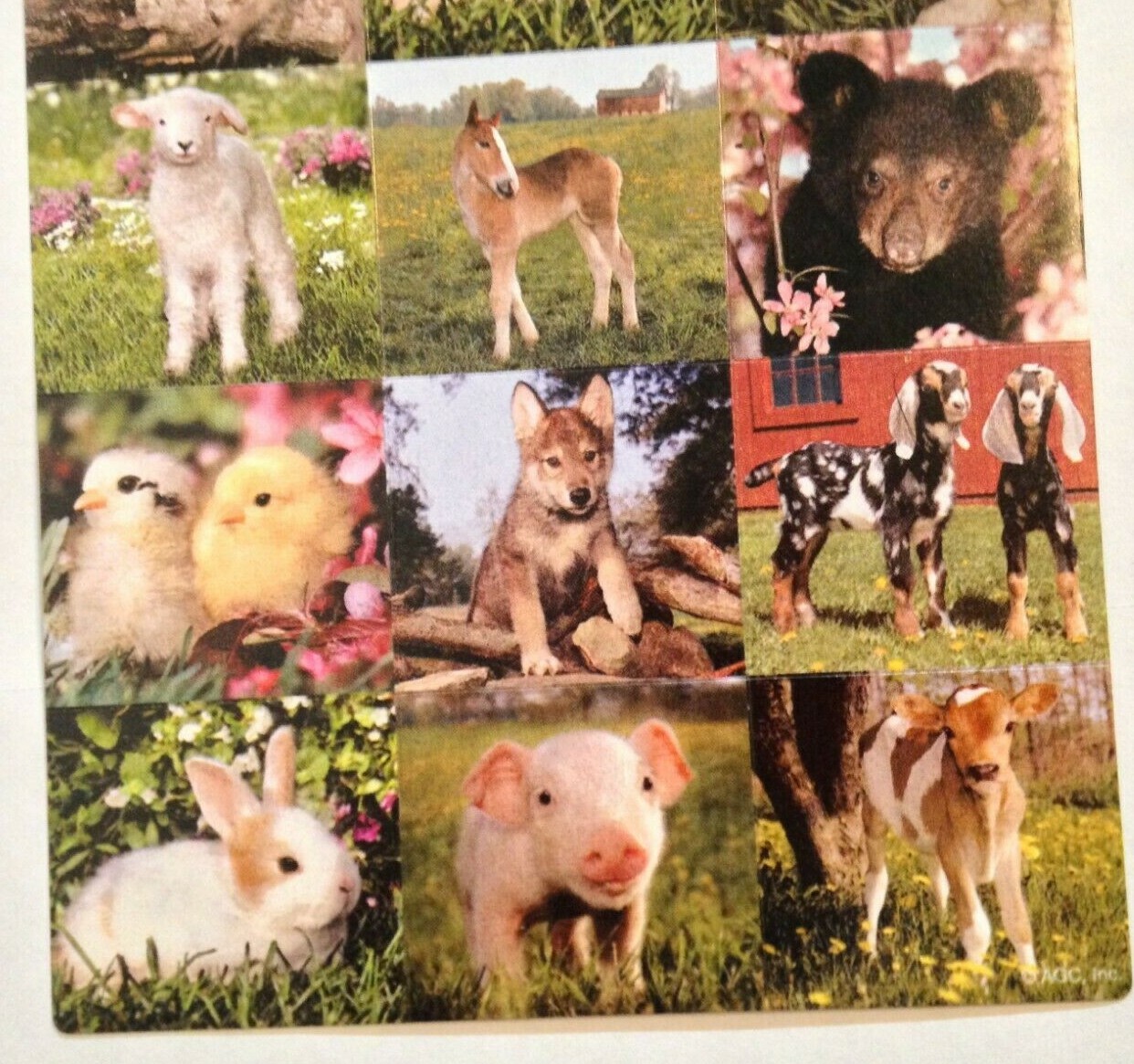 SH1:  American Greetings Stickey-Doo-Da Baby Animals Stickers - Spring, Easter