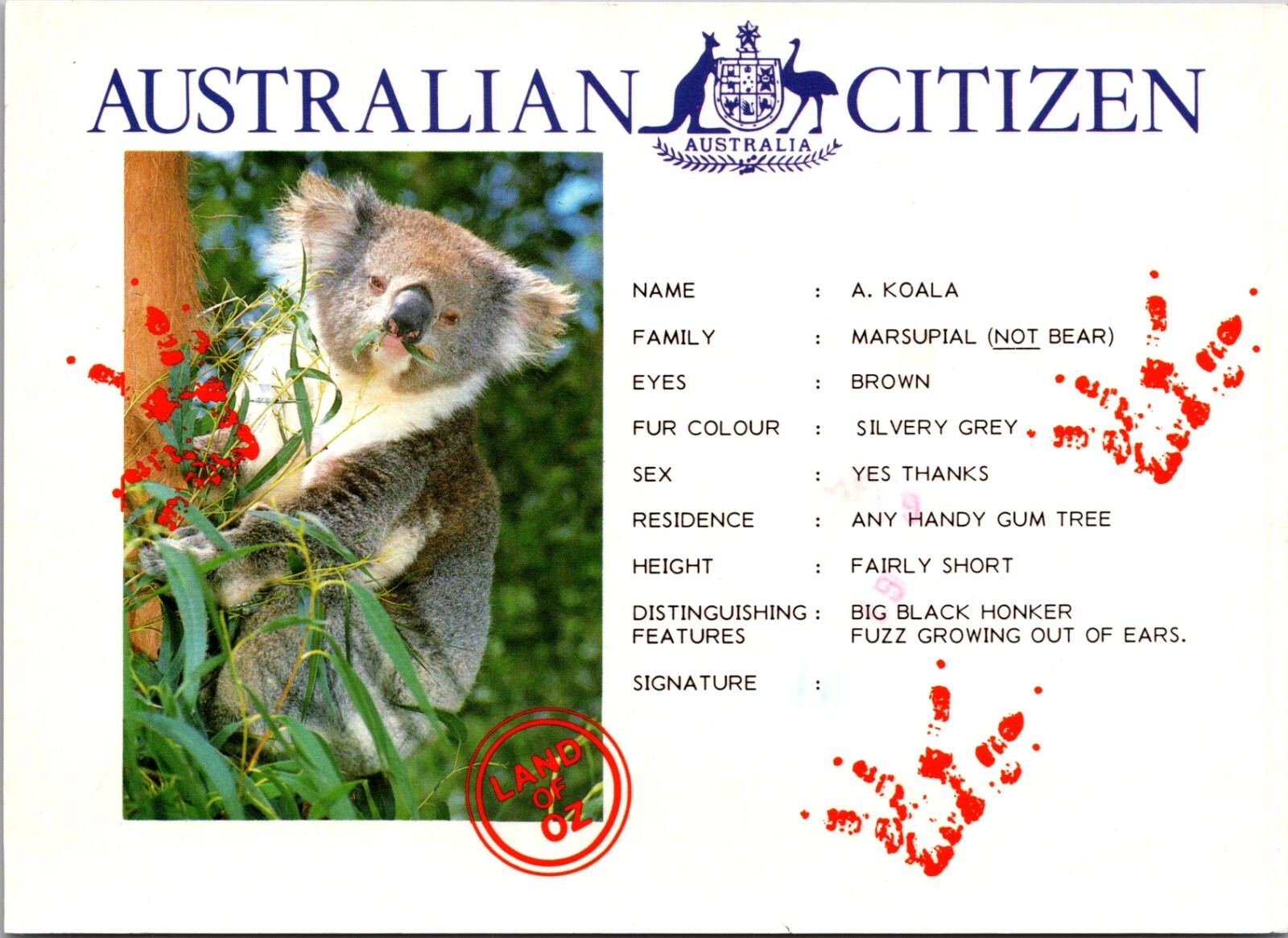 Postcard Koala Australian Citizen Marsupial Passport Posted 1991