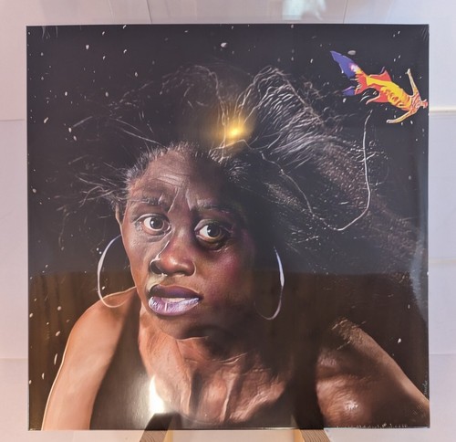 Noname sundial LP アナログ レコード vinyl $_12.JPG?set_id=880000500F