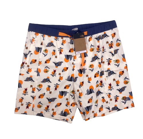 

НОВИНКА Шорты-шорты The North Face Class V без застежки, белые, сухие, мужские, размер, Белый