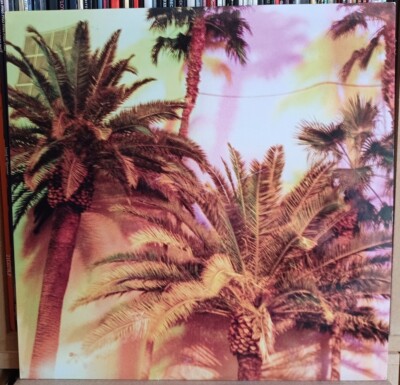 (32) Pussywarmers, Réka - I Saw Them Leaving LP