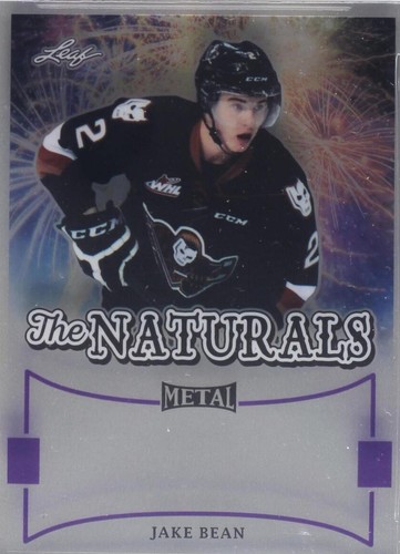 2015-16 Leaf Metal - Jake Bean #TN-JB1