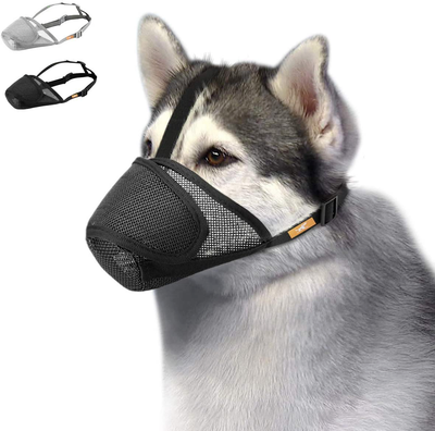 Dog mouth cheap cage