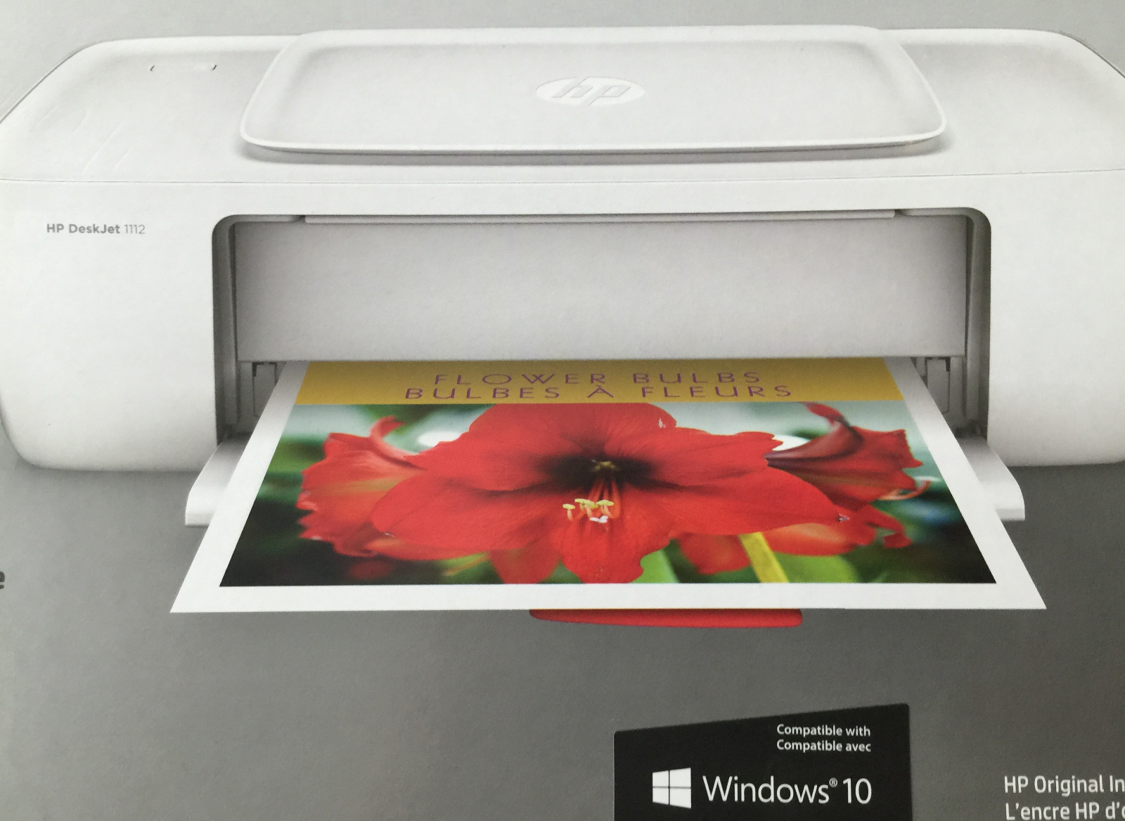Standard print