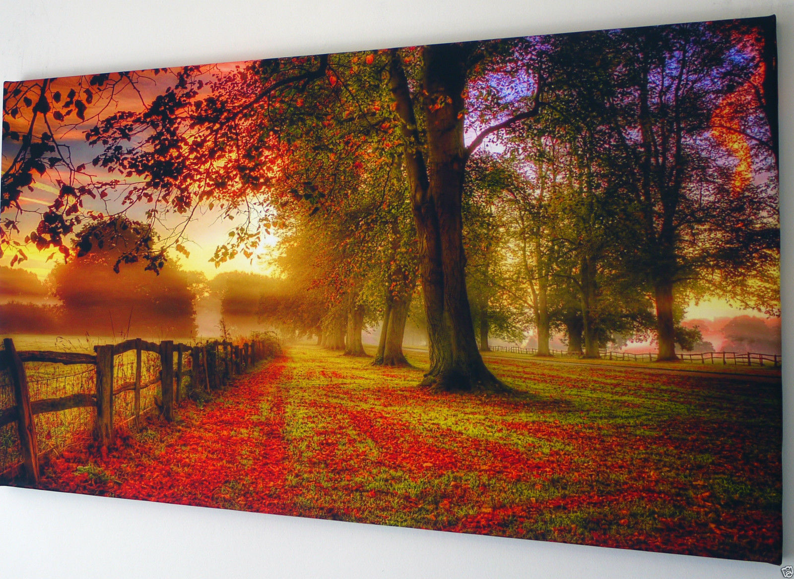 Canvas Wall Hangings