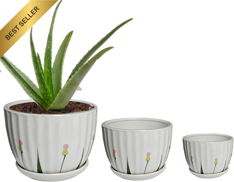 3-Piece Small Ceramic Plant Pots with Drainage Holes - Indoor/Outdoor Decorative