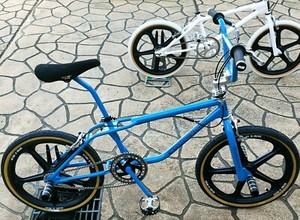 diamondback riptile bmx